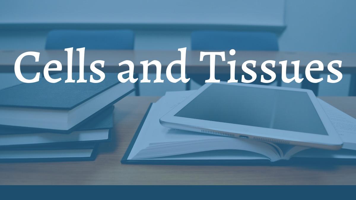 images/articles/concepts/cells-and-tissues.jpg