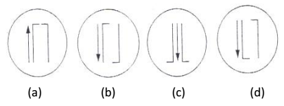 csat2013 ga q19 options